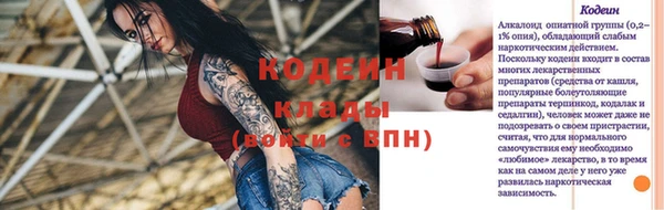 прущие грибы Заводоуковск