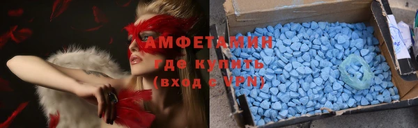прущие грибы Заводоуковск