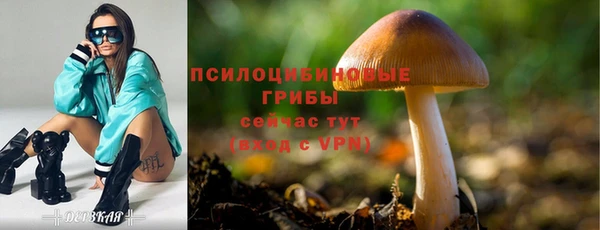 мдма Заволжье