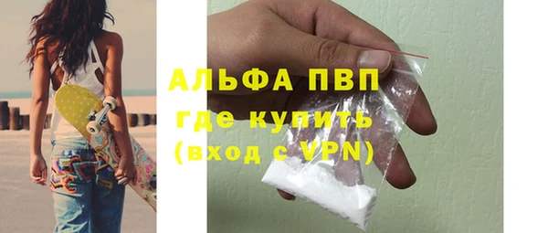 прущие грибы Заводоуковск