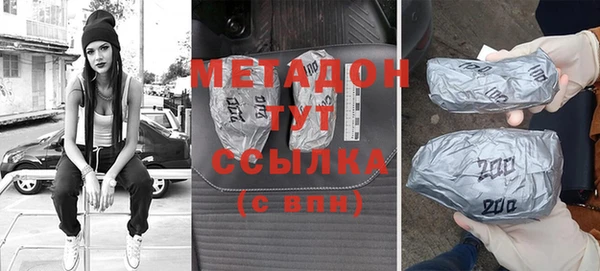 прущие грибы Заводоуковск
