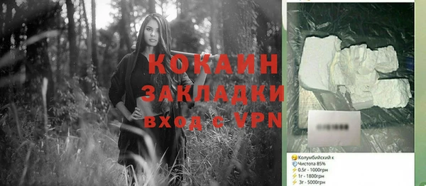 прущие грибы Заводоуковск