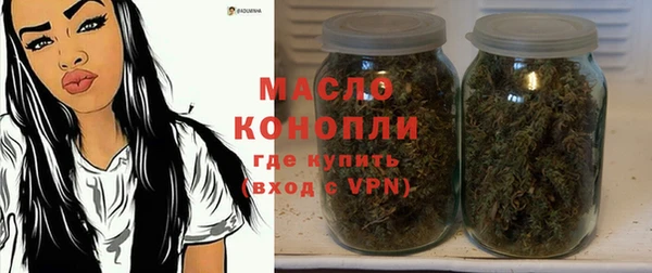 прущие грибы Заводоуковск