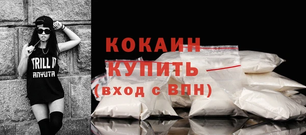 прущие грибы Заводоуковск