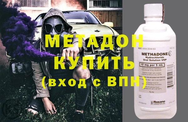 прущие грибы Заводоуковск