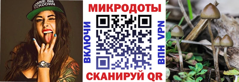 Псилоцибиновые грибы Psilocybine cubensis  Купить закладки  Лакинск 